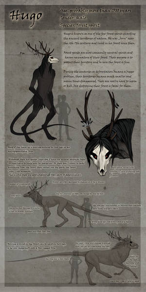 Hugo Character Reference 2019