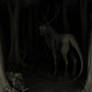 Nighttime Photography
