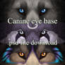 Canine eye base PSD file download