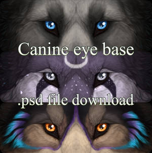 Canine eye base PSD file download