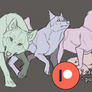 P2U September Canine Poses