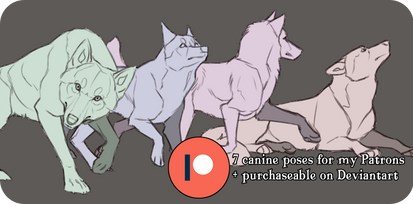 P2U September Canine Poses
