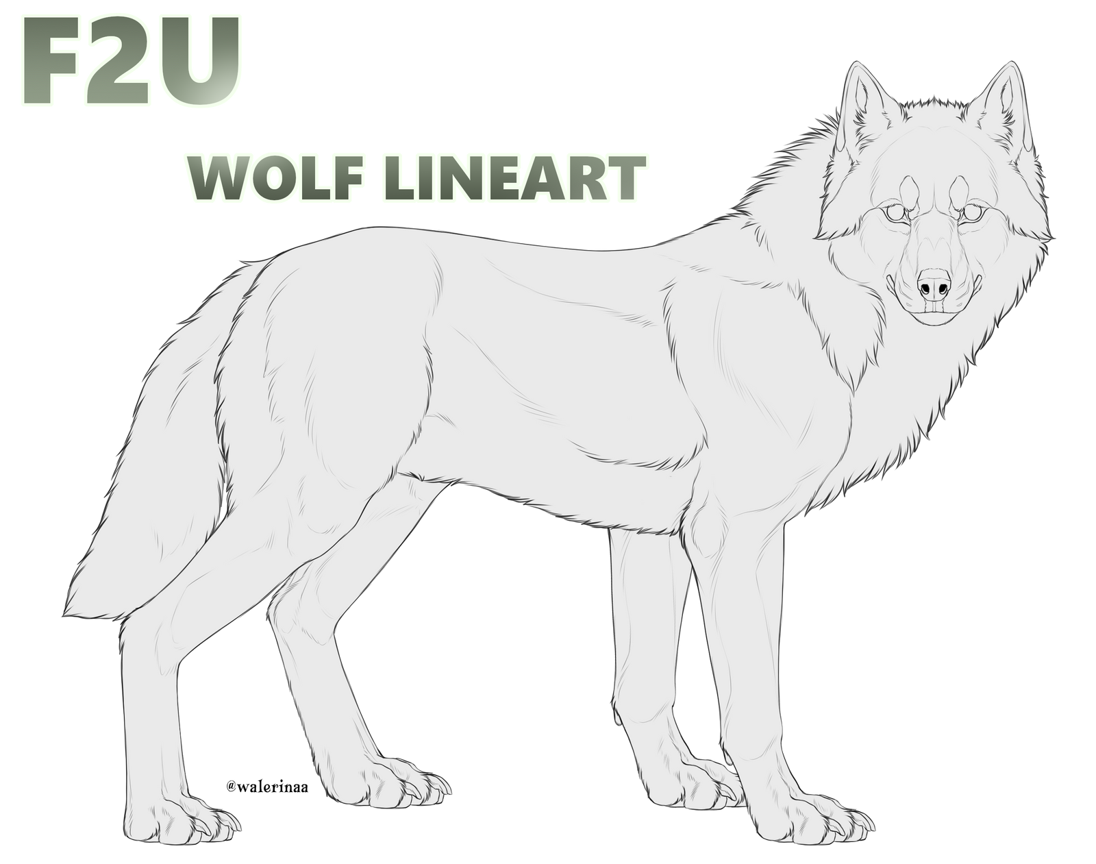 Basic Wolf Lineart Free to Use Wolf Lineart by Walerinaa on DeviantArt