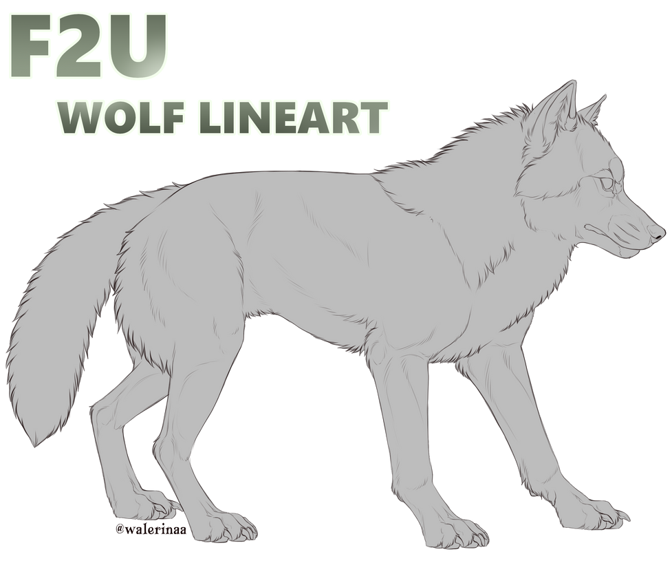 Basic Wolf Lineart Free to Use Wolf Lineart by Walerinaa on DeviantArt