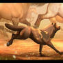 Chasing The Horses
