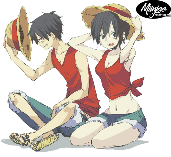 Render: Luffy boy-girl