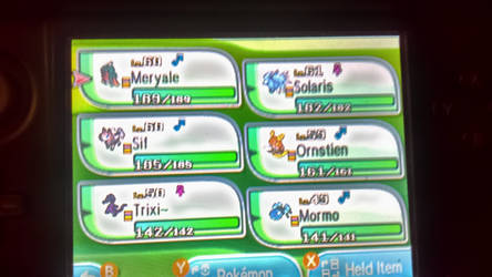 My Pokemon Sun Team.