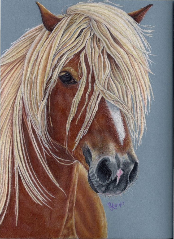 Pretty Pony Colored Pencil