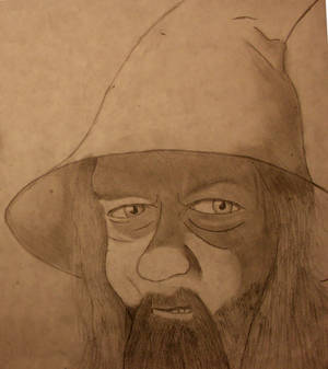 Gandalf the grey