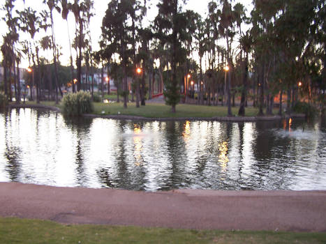 Blurry Park Watery Reflections