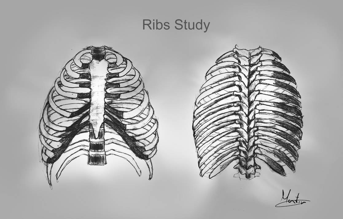 Ribs by martinmariez on DeviantArt