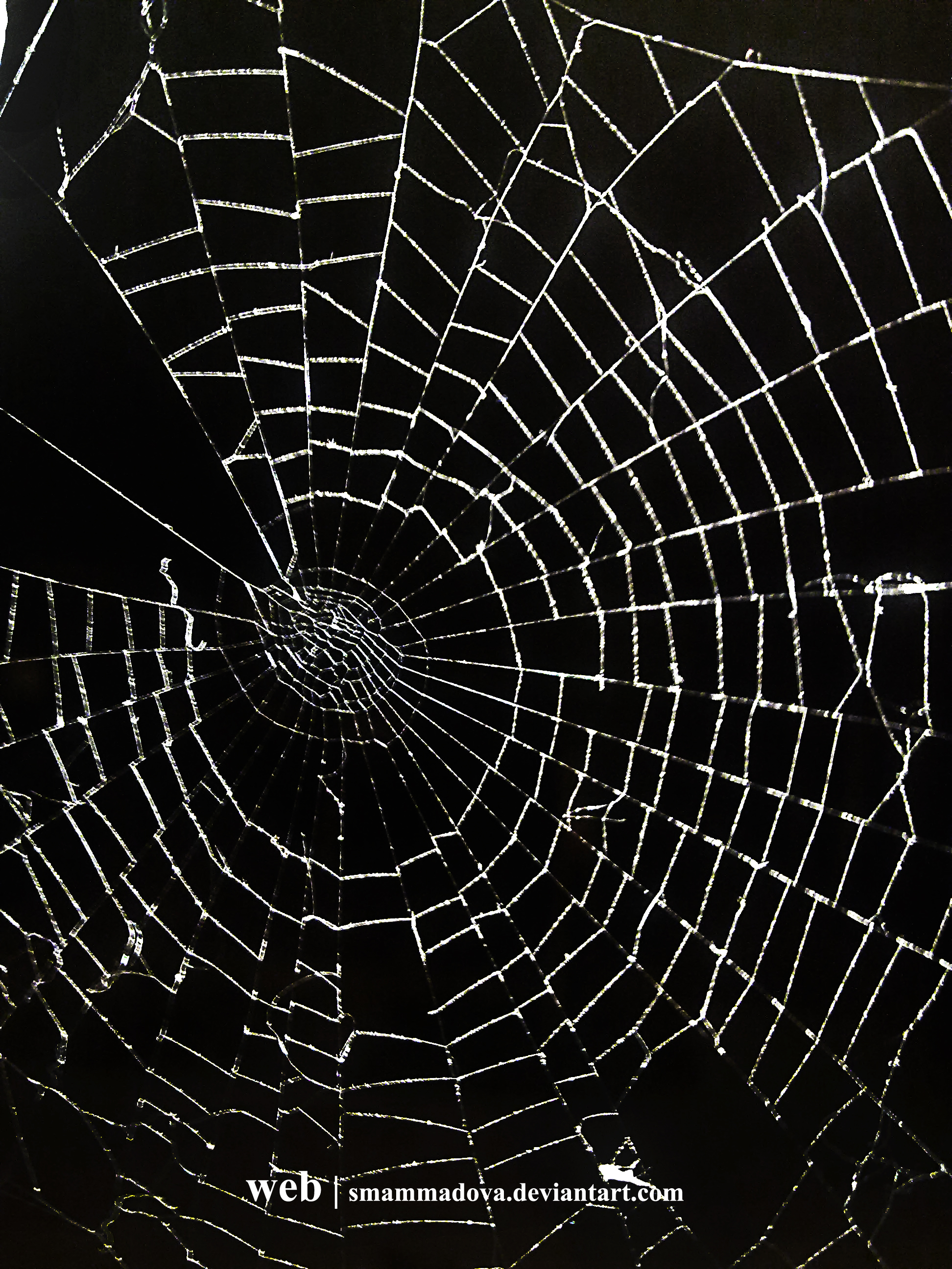 WEB