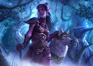 Nightelf with Wolf