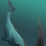 Whale and Squid