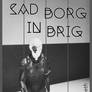 Sad Borg In Brig