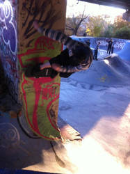 SKate Park craziness