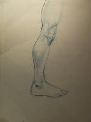life drawing - leg study