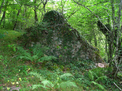 Ruin in the Forest