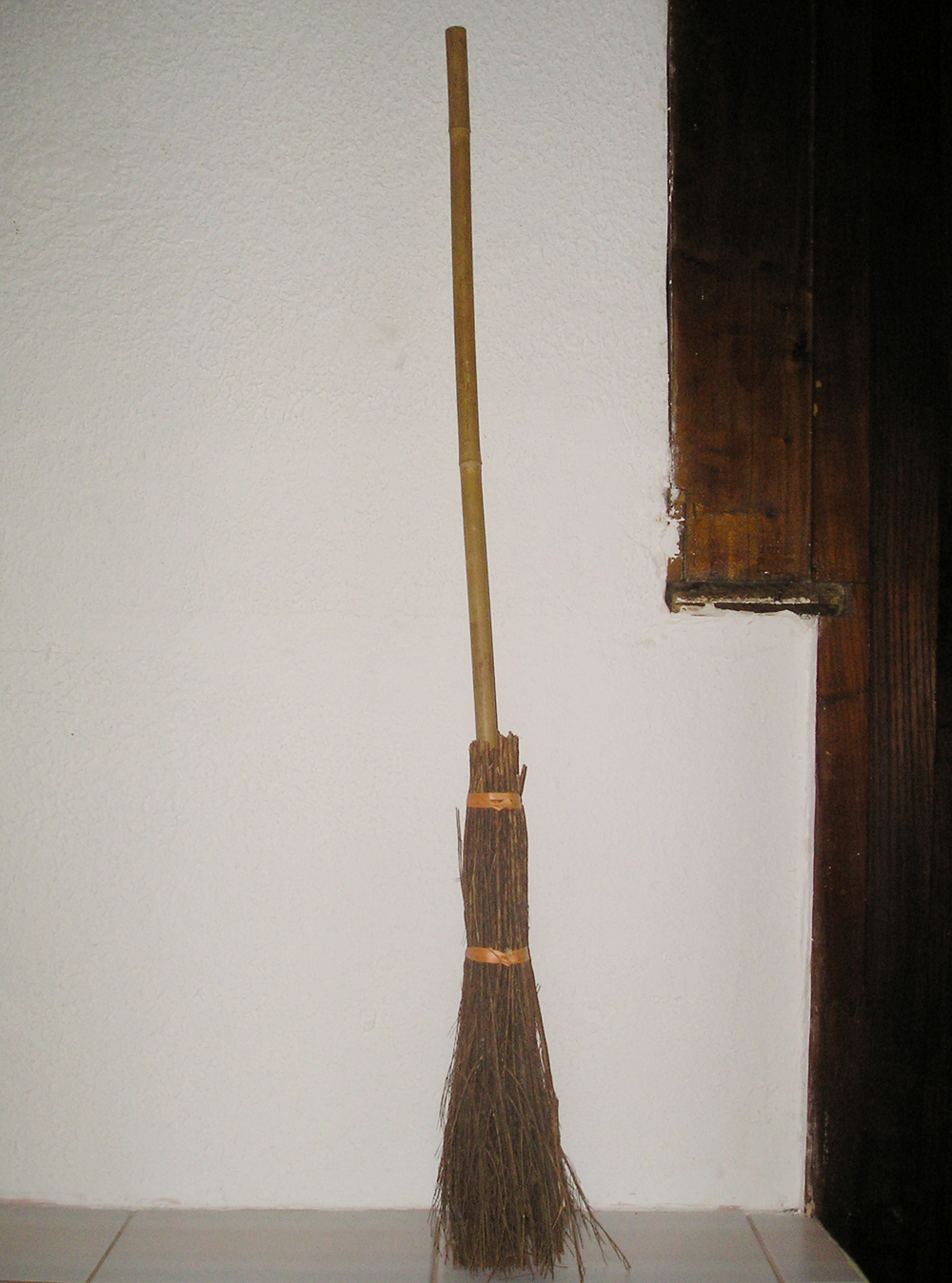 Witch Broom