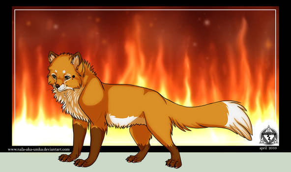 Fire: Red Fox