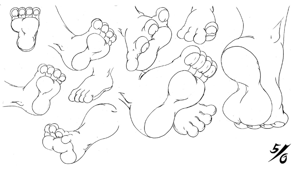 Cartoon Rabbit Foot Reference random rabbit feet sketches by 50percentgrey on DeviantArt