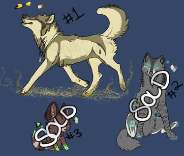 Adoptables [1 LEFT]