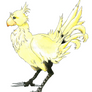 Chocobo