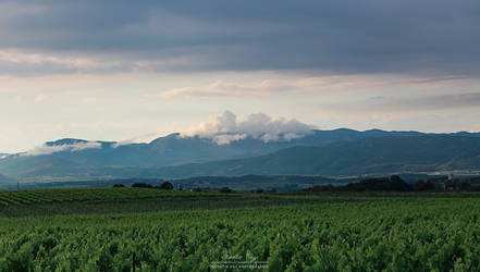 Clouds on the mountain