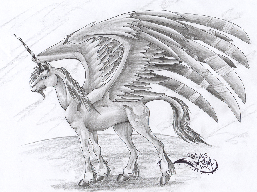 How To Draw A Unicorn With Wings