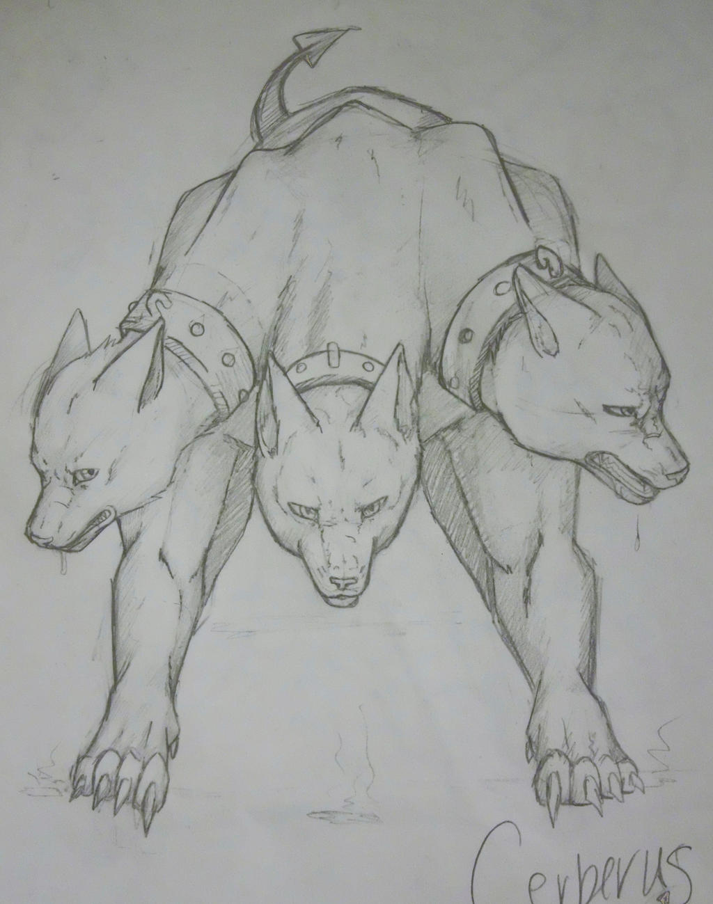 Cerberus