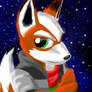 Star Fox Colors