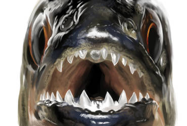 Piranha