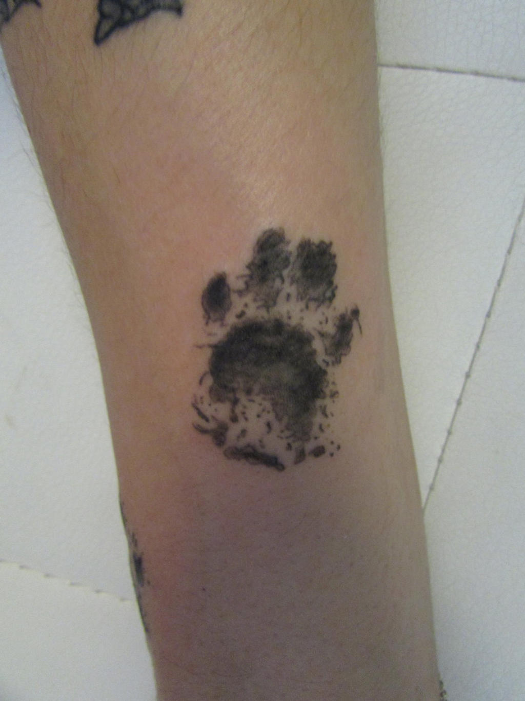 Tattoo Patte De Chat 2 By Mllecalimero On Deviantart Tattoo Patte De Chat 2 By Mllecalimero On Deviantart