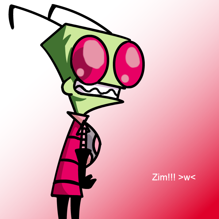 My attempt at Zim