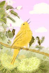 Yellow Bird