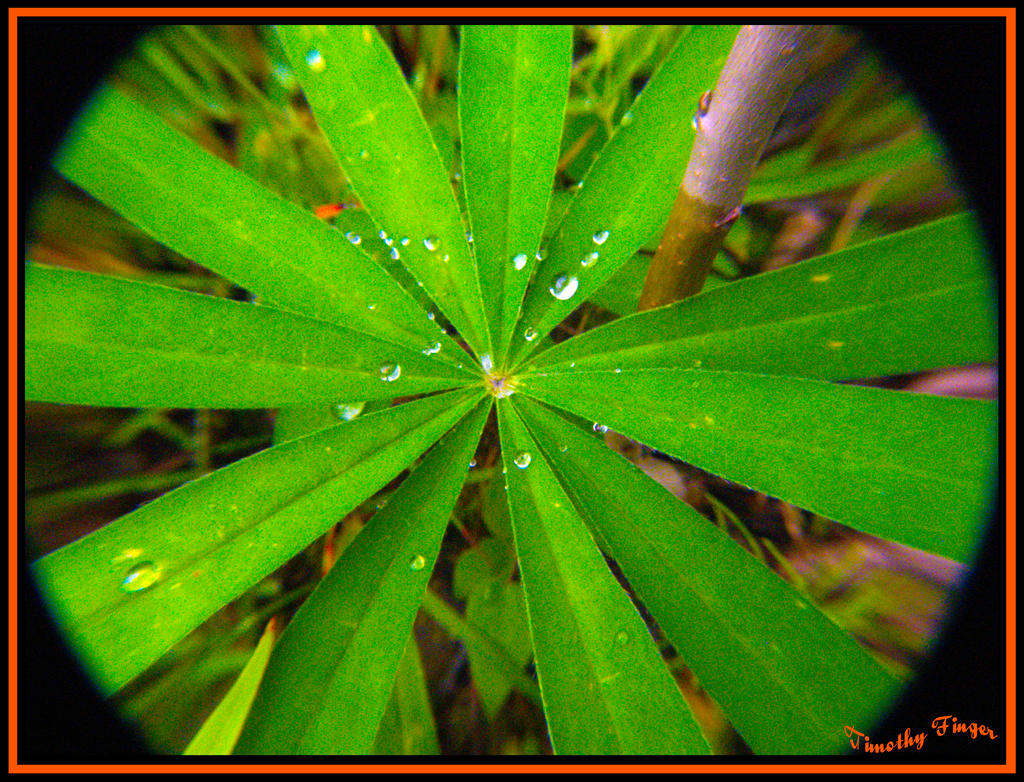 Droplets 2