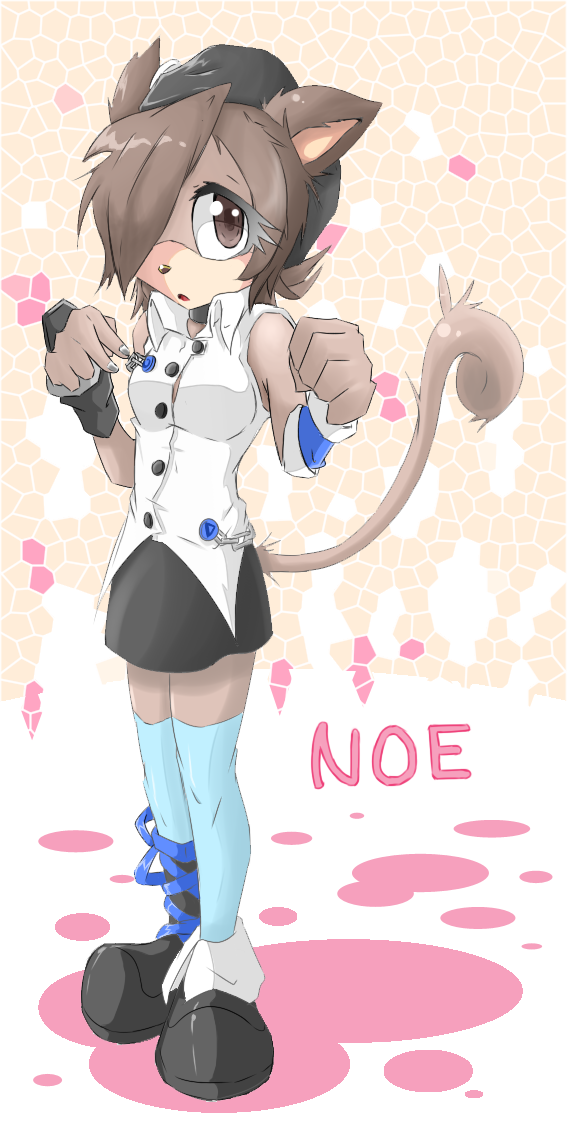 noe the cat