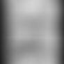 Lagomorpha 3 page 8