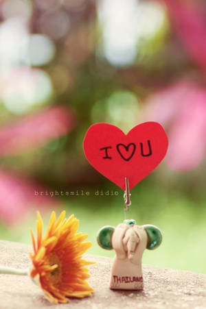 I LOVE U (i) by Brightsmile-didi