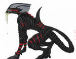 Panther Alien