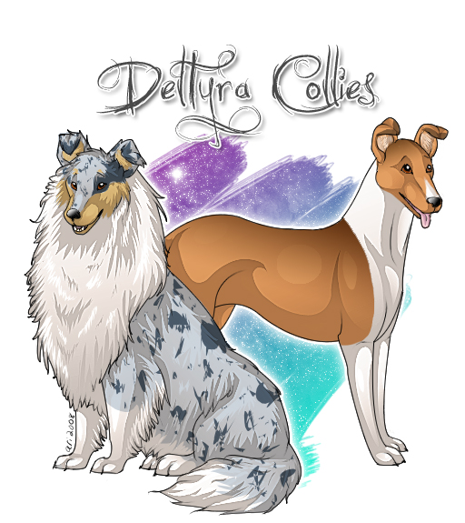 Deltyra Collies