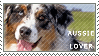 Australian Shepherd Stamp