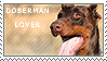 Doberman Stamp