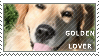 Golden Retriever Stamp by Muttie