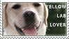 Yellow Lab Stamp