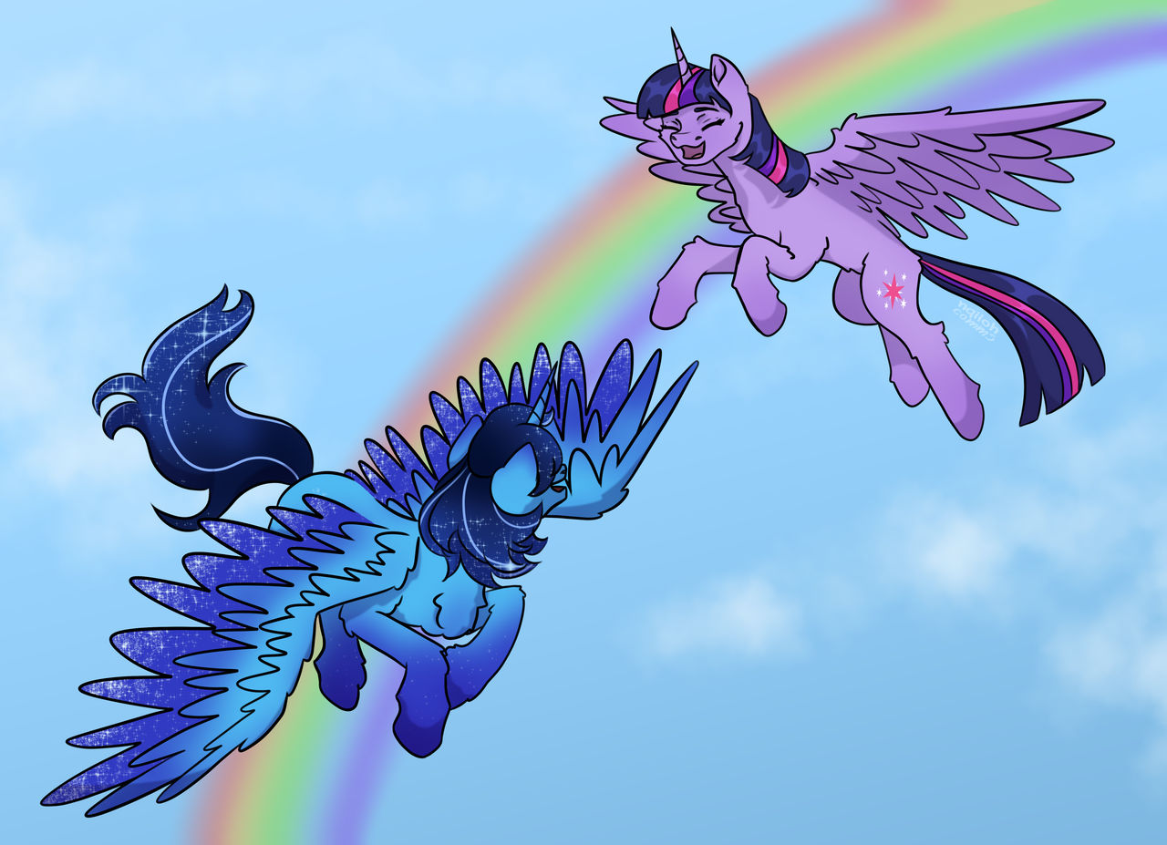 Soaring through the sky together