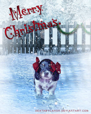 Merry Christmas DA by deathbycanon Merry Christmas DA by deathbycanon