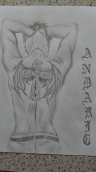 Andaric