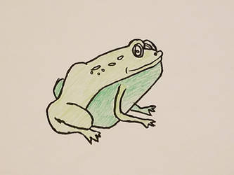 Frog