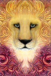 lion